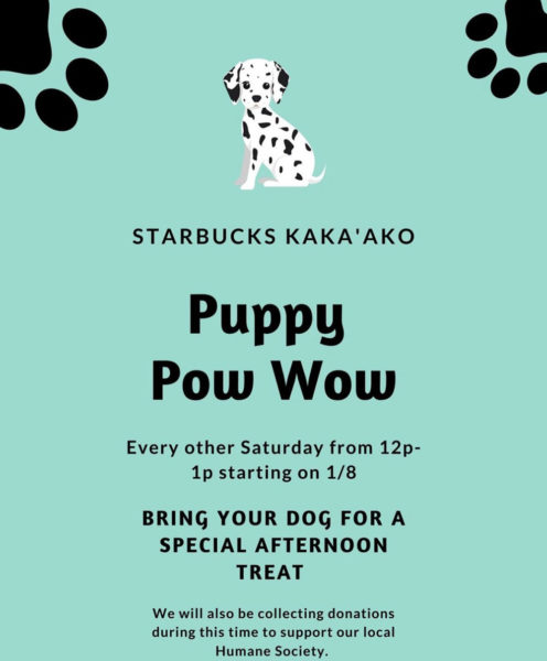 Starbucks Puppy Pow Wow